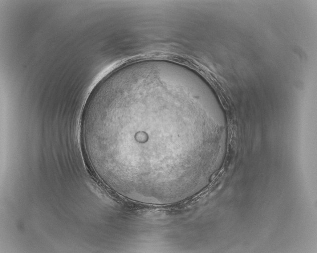 X0000115030100200911161515