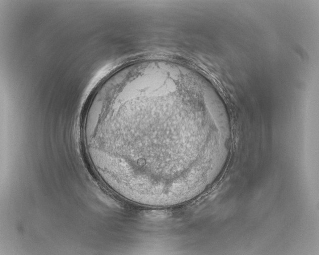 X0000115030102200911161515