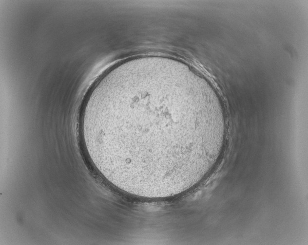 X0000115030103200911161515