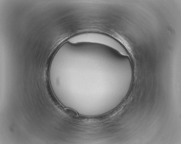 X0000115030105200911161515