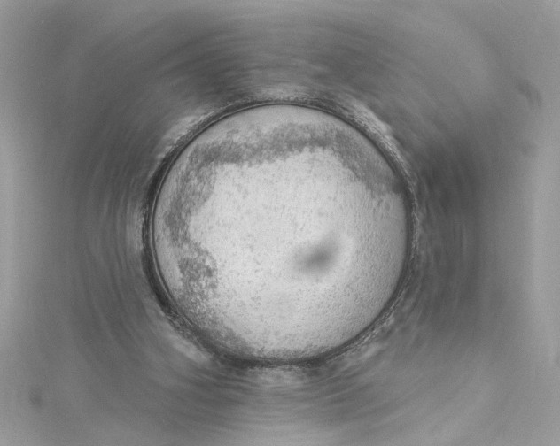 X0000115030106200911161515