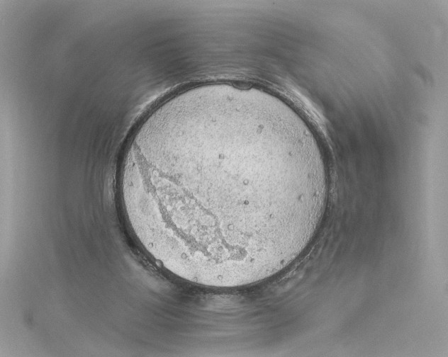 X0000115030107200911161515