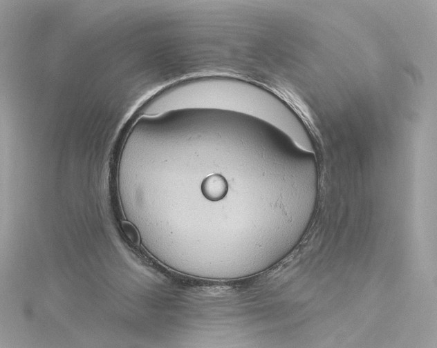 X0000115030108200911161515