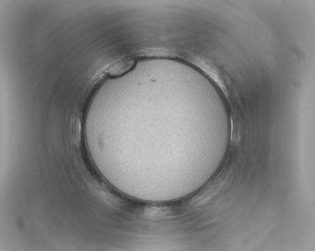 X0000115030109200911161515