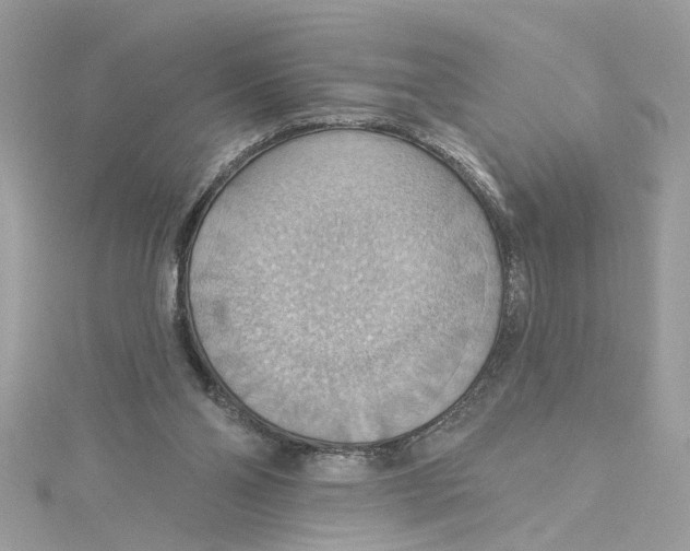 X0000115030110200911161515