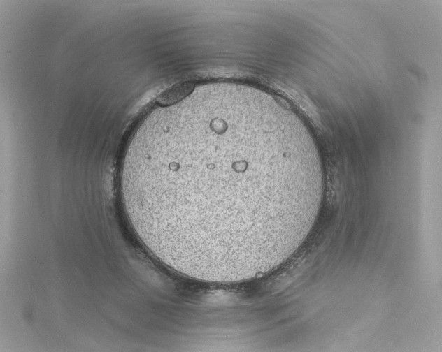 X0000115030111200911161515