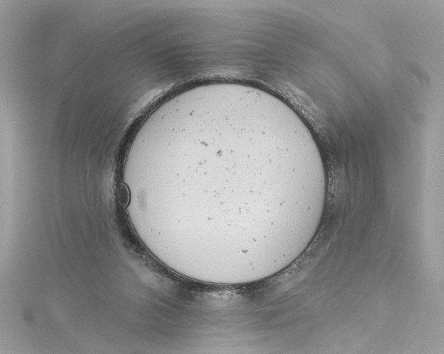 X0000115030112200911161515