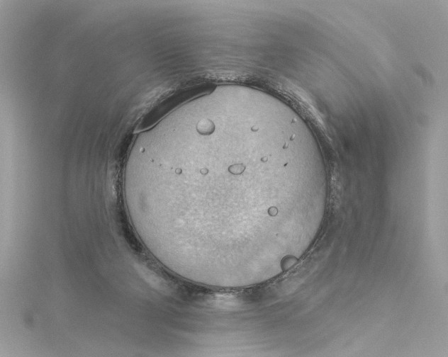 X0000115030114200911161515