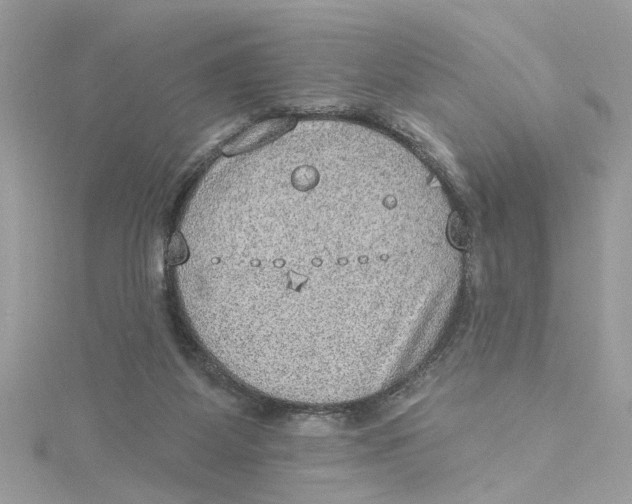 X0000115030115200911161515