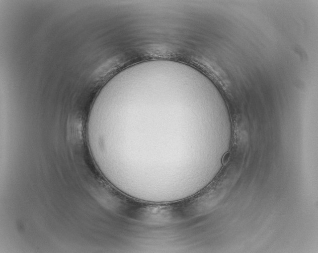 X0000115030117200911161515