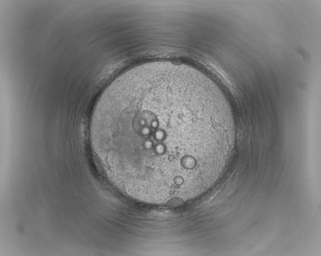 X0000115030119200911161514