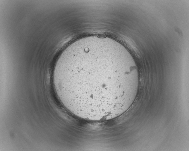 X0000115030120200911161514