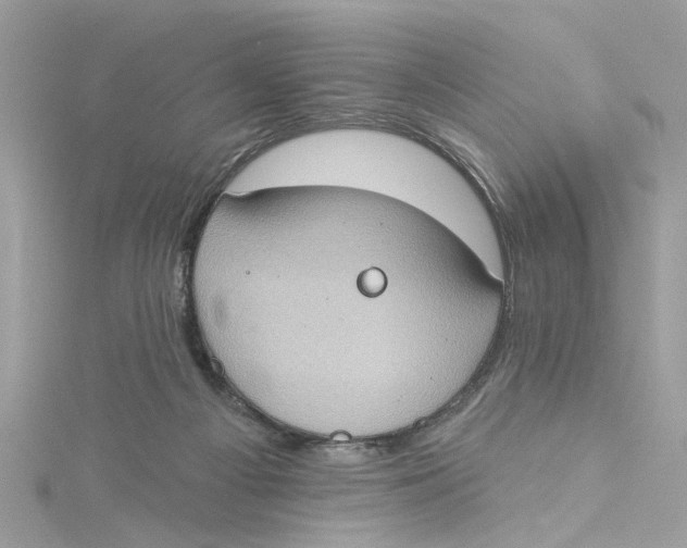 X0000115030121200911161514