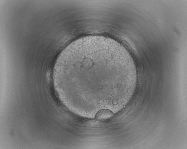 X0000115030123200911161514