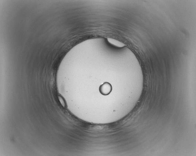 X0000115030129200911161514