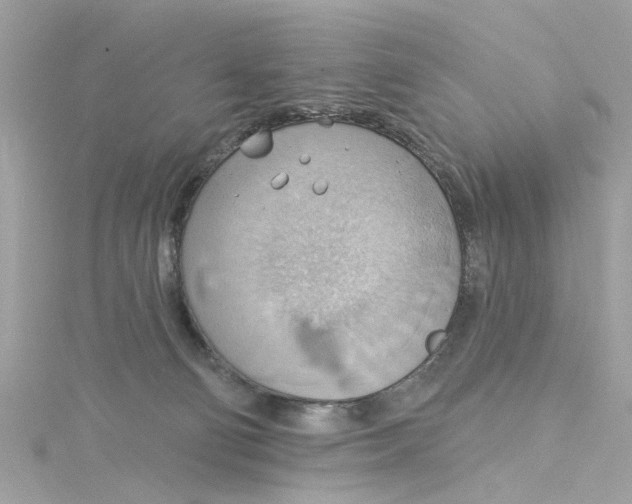 X0000115030130200911161514