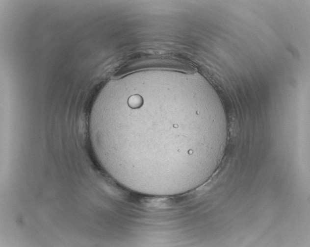 X0000115030132200911161514