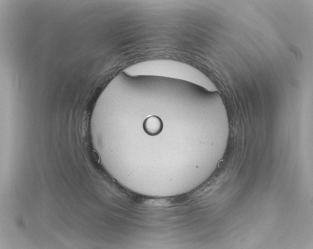 X0000115030133200911161514