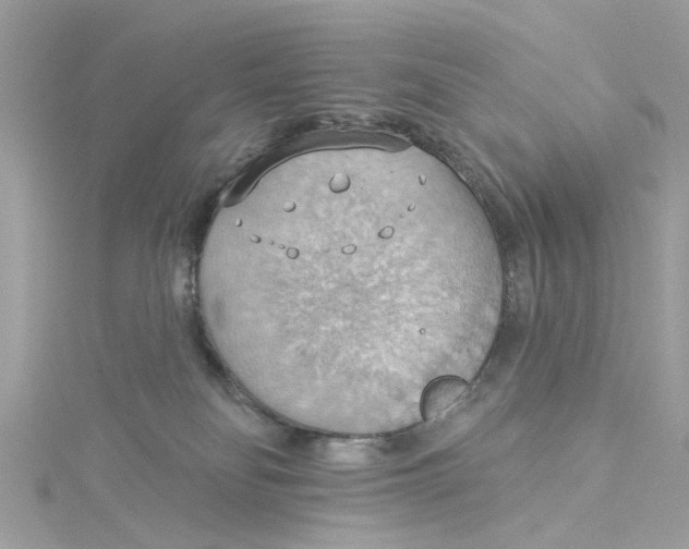 X0000115030134200911161514