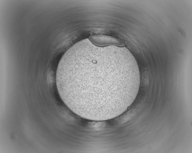 X0000115030135200911161514