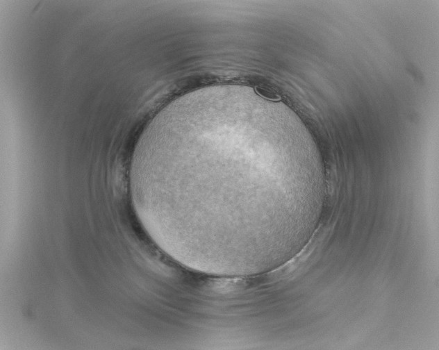 X0000115030136200911161514