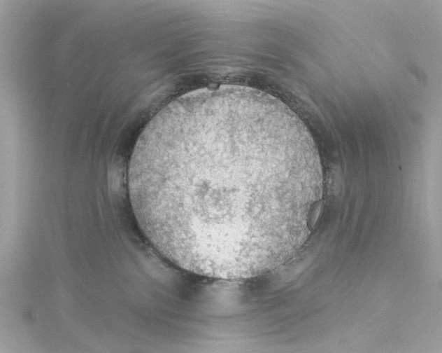 X0000115030138200911161514