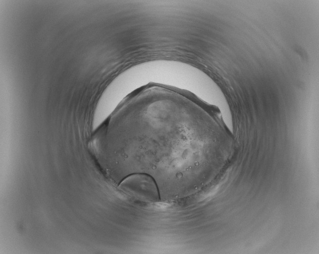 X0000115030139200911161514