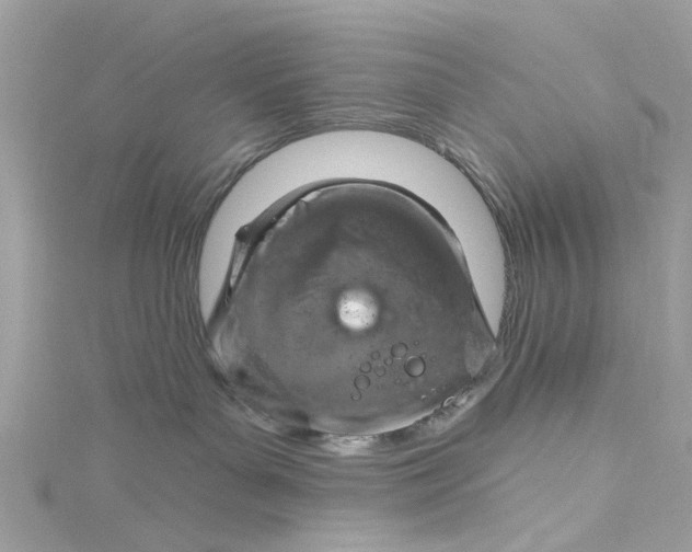 X0000115030143200911161514