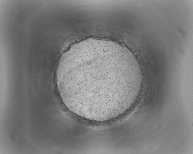 X0000115030144200911161514