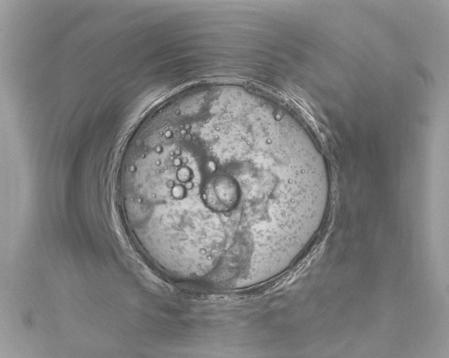 X0000115030145200911161514