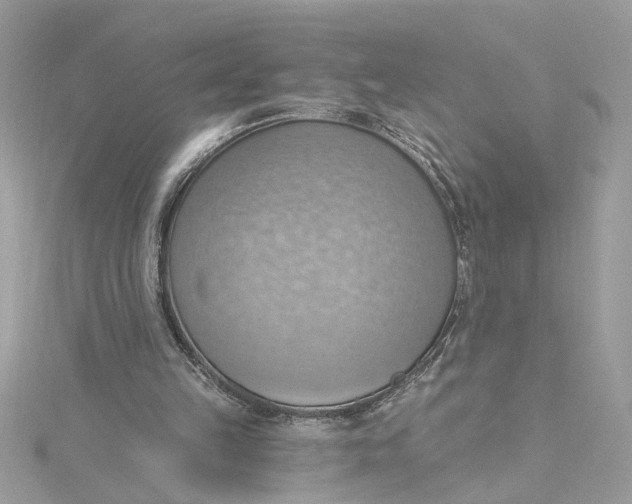 X0000115030149200911161514