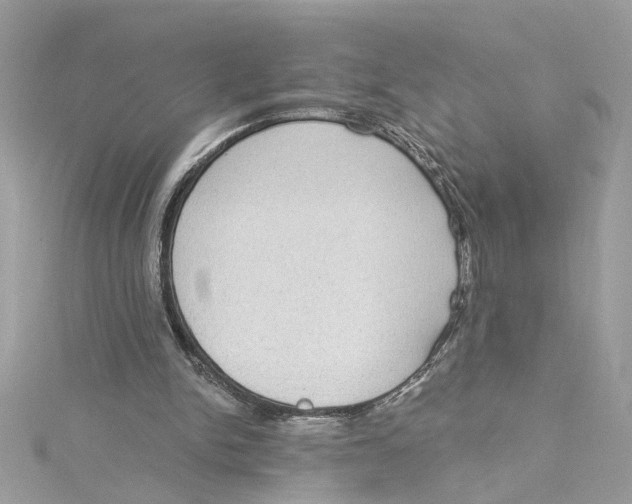 X0000115030150200911161514