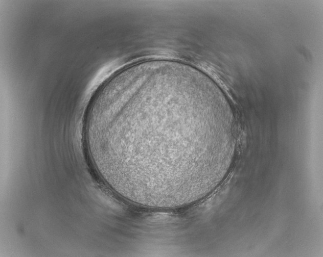 X0000115030151200911161514