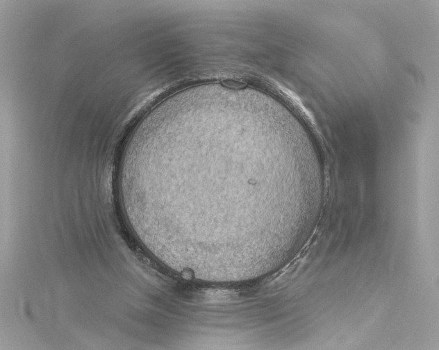 X0000115030154200911161514