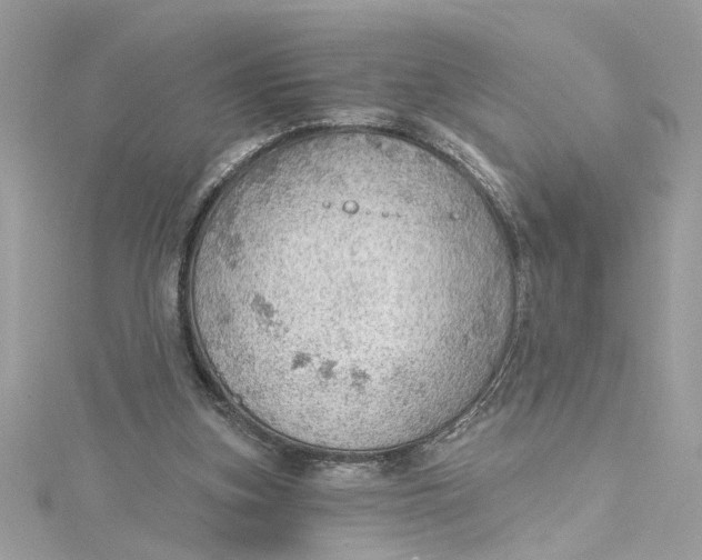 X0000115030155200911161514