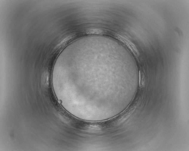 X0000115030157200911161514