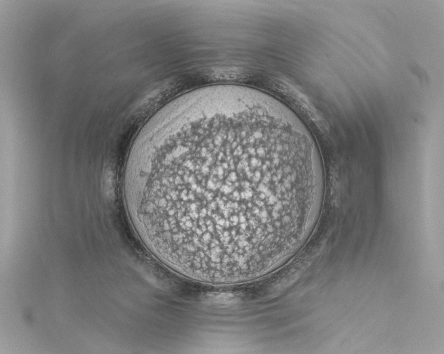 X0000115030161200911161514