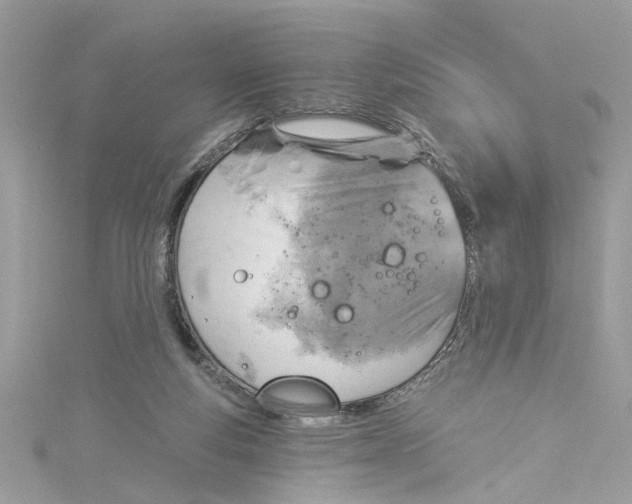 X0000115030163200911161514