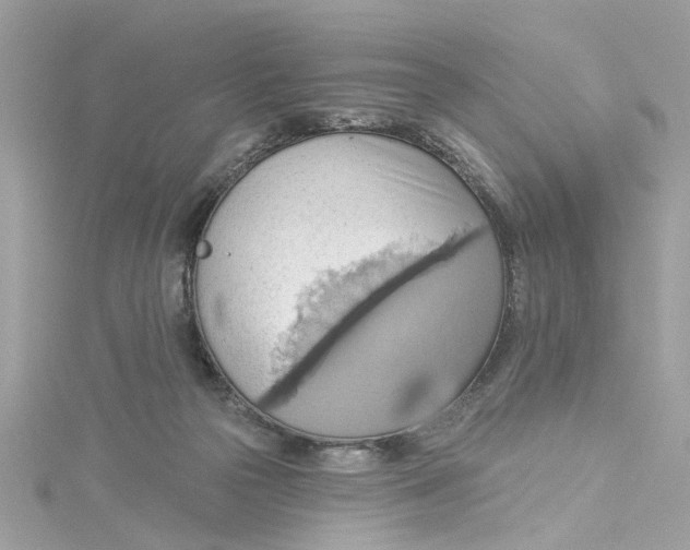 X0000115030169200911161514