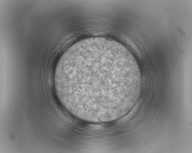 X0000115030170200911161514