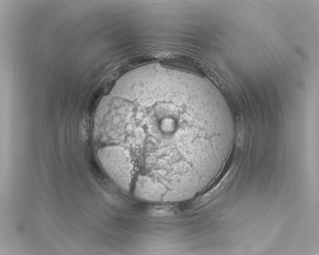 X0000115030175200911161514