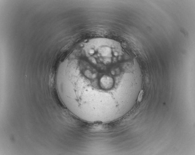 X0000115030177200911161514