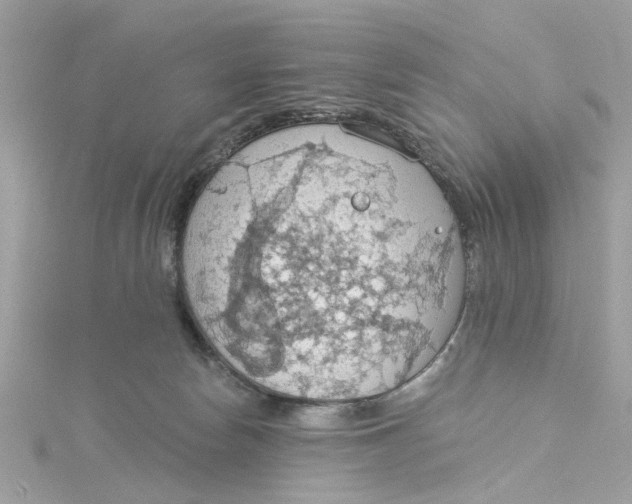 X0000115030178200911161514