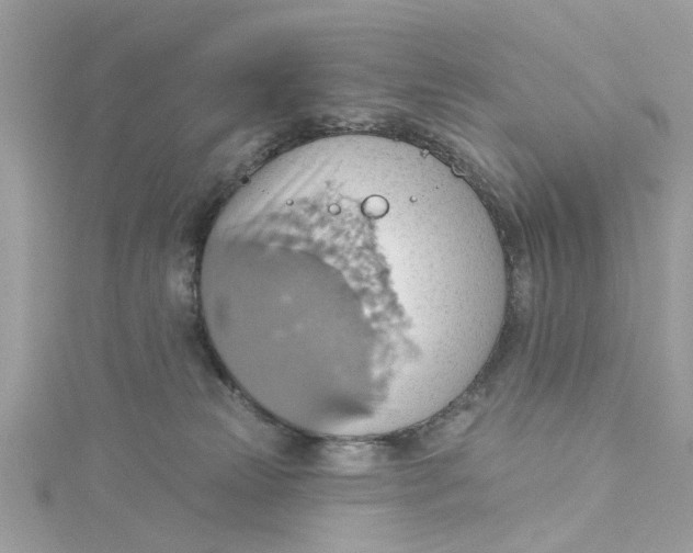 X0000115030181200911161514