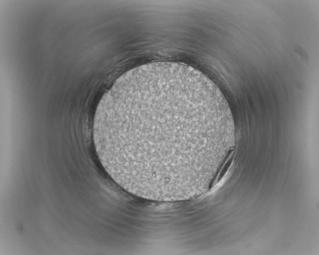 X0000115030186200911161514