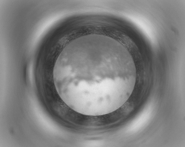 X0000115030189200911161514