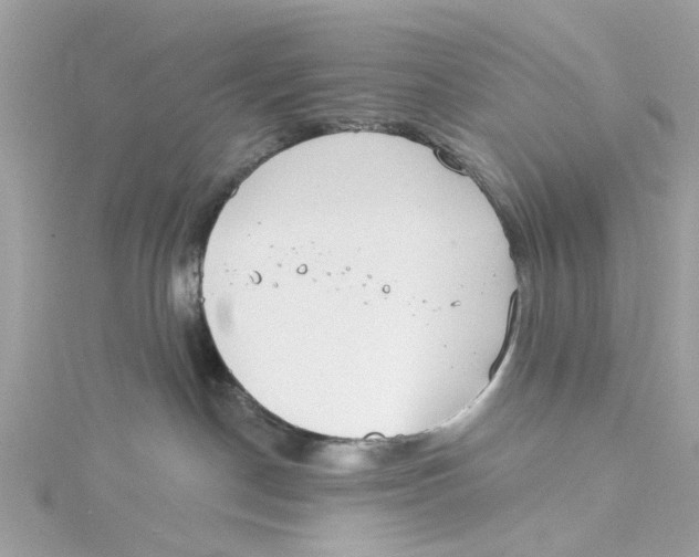 X0000115030190200911161514