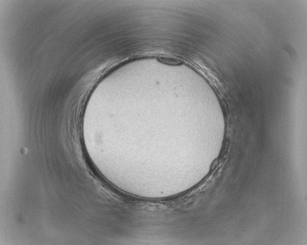 X0000115030193200911161514