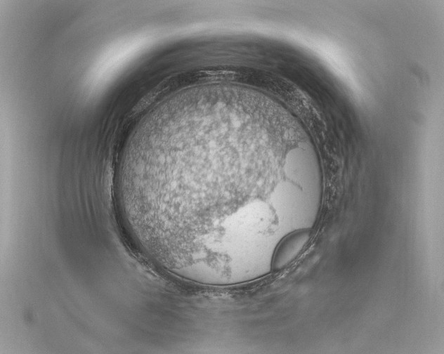 X0000115030194200911161514