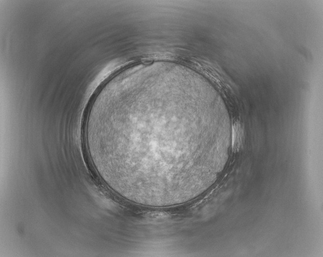 X0000115030195200911161514